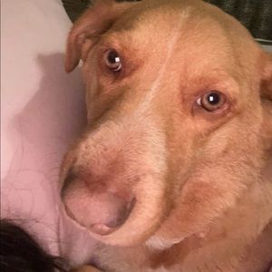 Meet your Posher, Micah